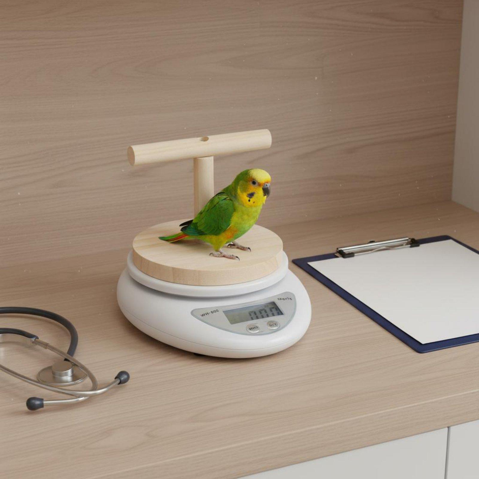 Digital Pet Bird Scale with De - Portion Scale Digital 评论和价格