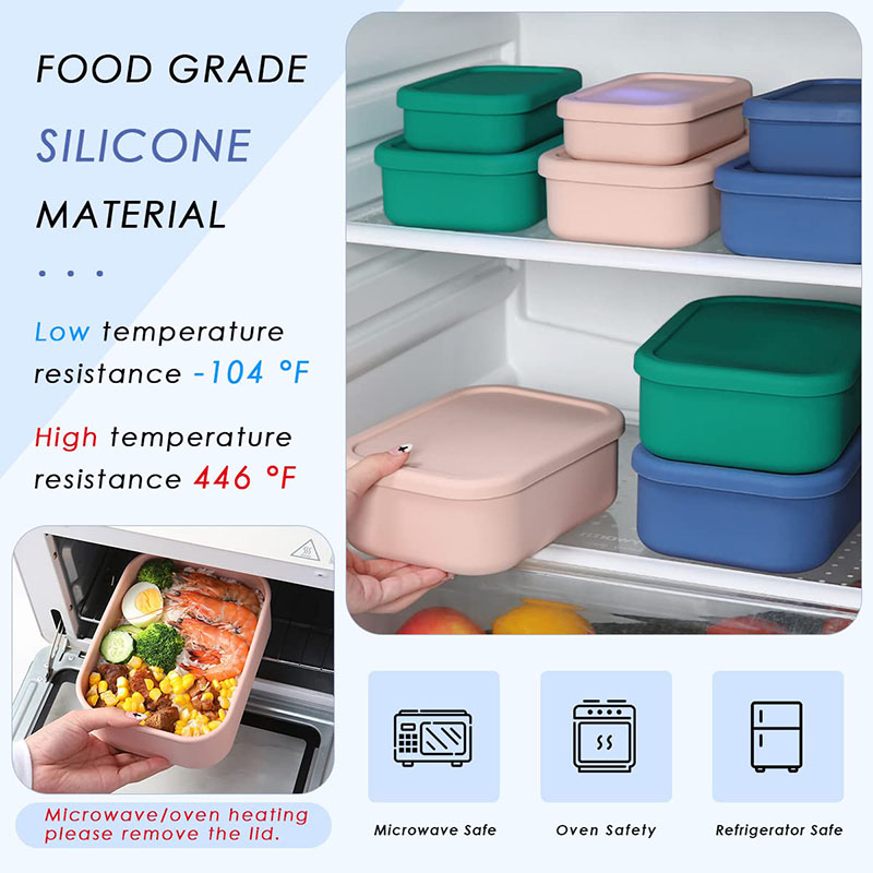 Leak-Resistant Bento Lunch Box - Meal Prep Kinder 评论和价格