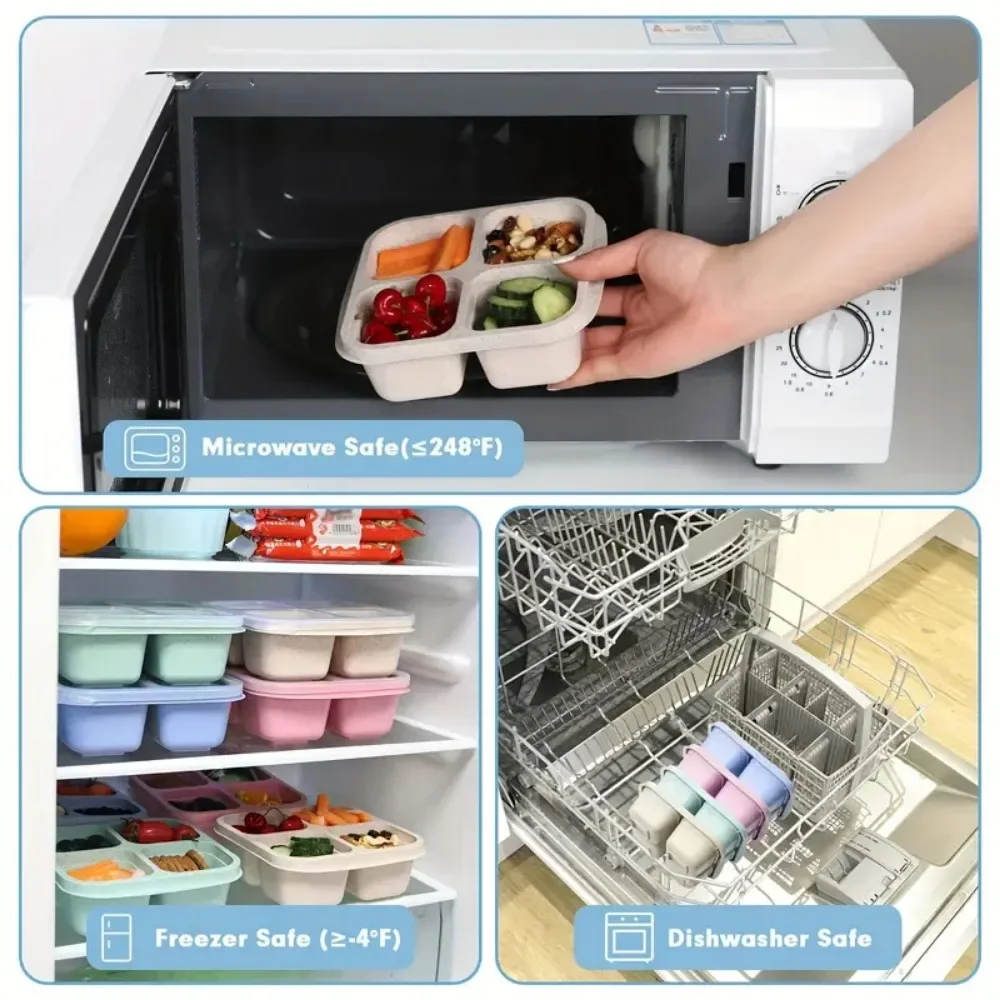 4 Grid Snack Box for Kids and  - Meal Prep Kinder 评论和价格